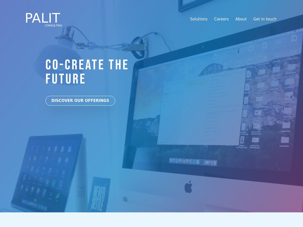 Palit Consulting - Web Solutions for Your Success