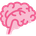 Brain Research & Info