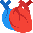 Covid and Heart Damage