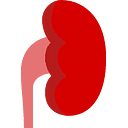 Covid and Kidney Damage