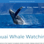 Kauai whale watching